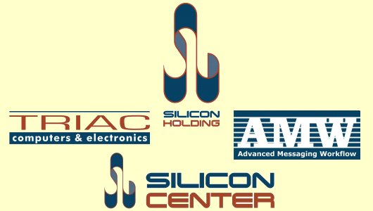 Silicon Holding